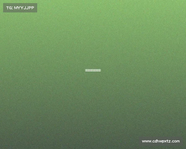 中国篮球巅峰赛事时间