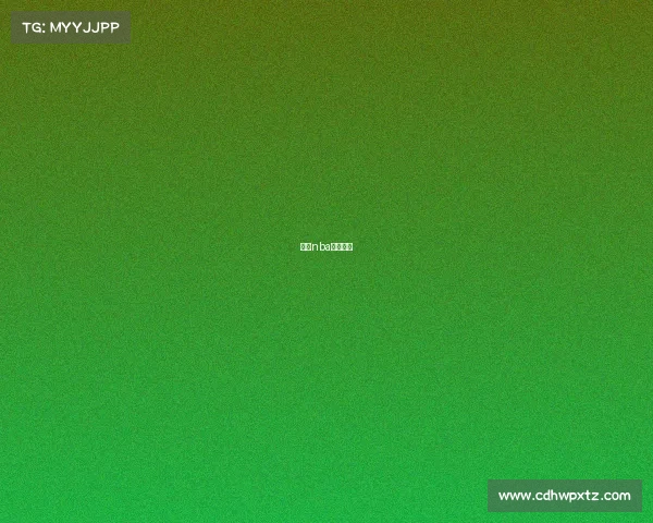 科比nba赛事视频